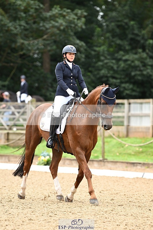 240811-101819-04984 - 110-Helen.Kitto-Da.Vinci.IV