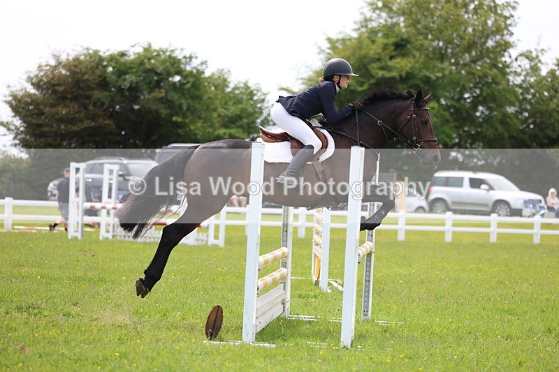 3E7A1570 - Class 13: Senior British Novice/90cm open