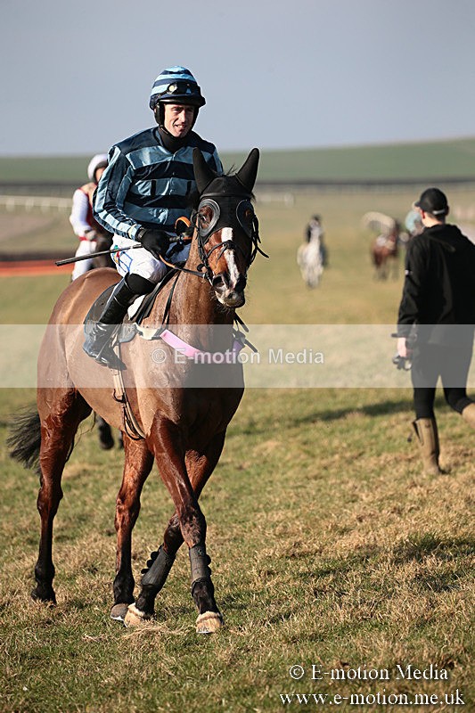 PtP 230219 459 - Vine & Craven Point-To-Point - Barbury 23/02/19