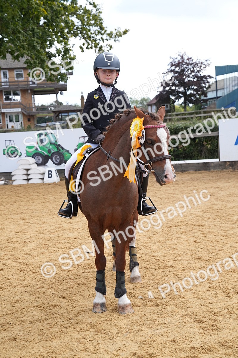 SBM_64550 - J2 - Mini Tour Junior Pony 30cm Championship