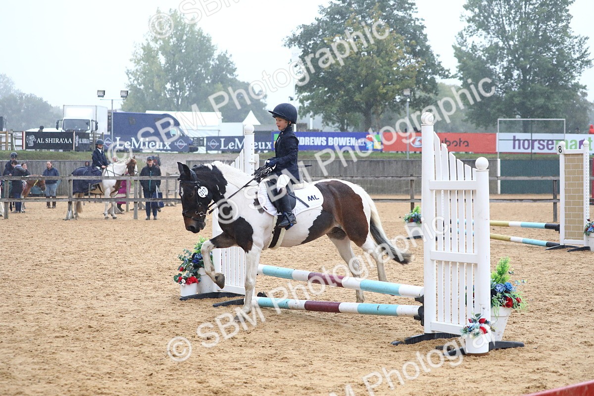 SBM_71815 - J4 - Mini Tour Junior Pony 45cm Championship