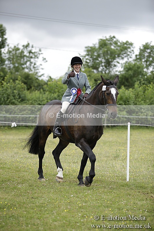 BVR160717-1566 - Ring 1 BVRC Show 16/07/17