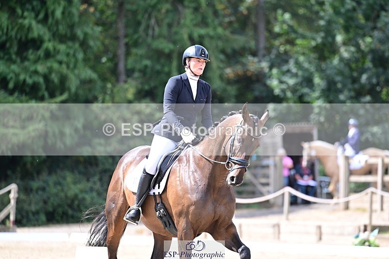 260802A-110934-05872 - Novice Bronze break- break
