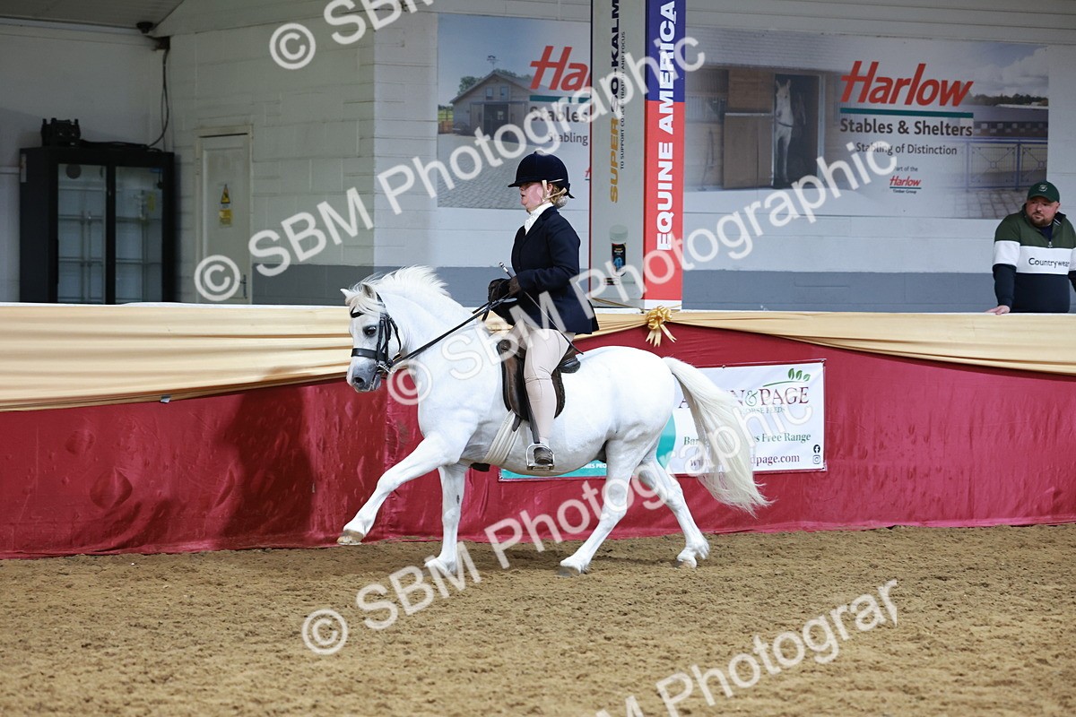 SBM_18579 - Class 952 - M&M Ridden Supreme Final