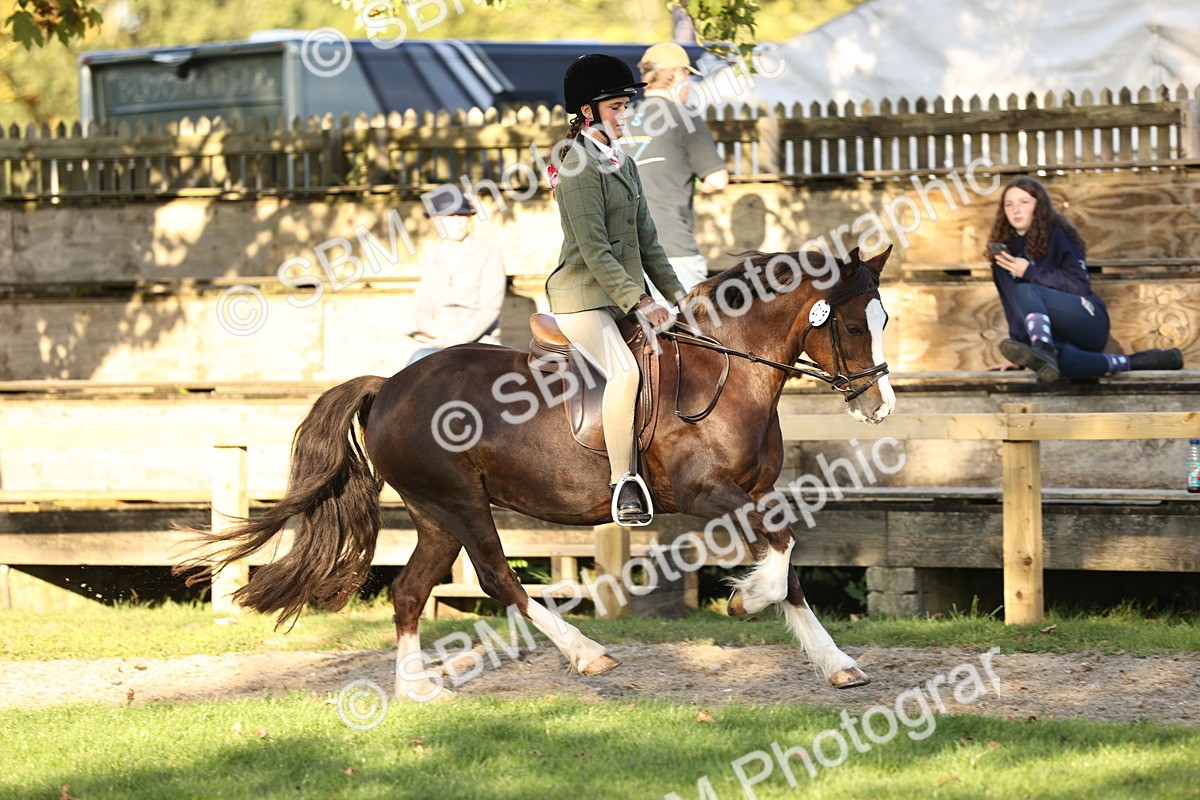 SBM_29606 - S7 - Novice & Newcomers Ridden Pony