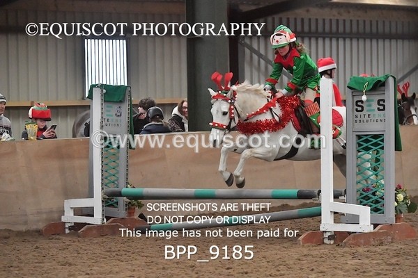 BPP_9185 - CLASS 4 50CM Novice Show Jumping