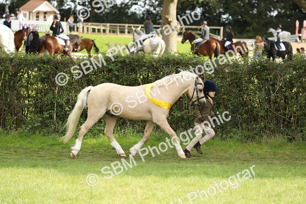 SBM_66276 - In Hand Pony & Youngstock Supreme Championship