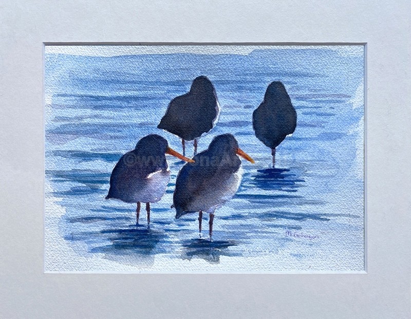 Tide's out SOLD - Widlife/Nature