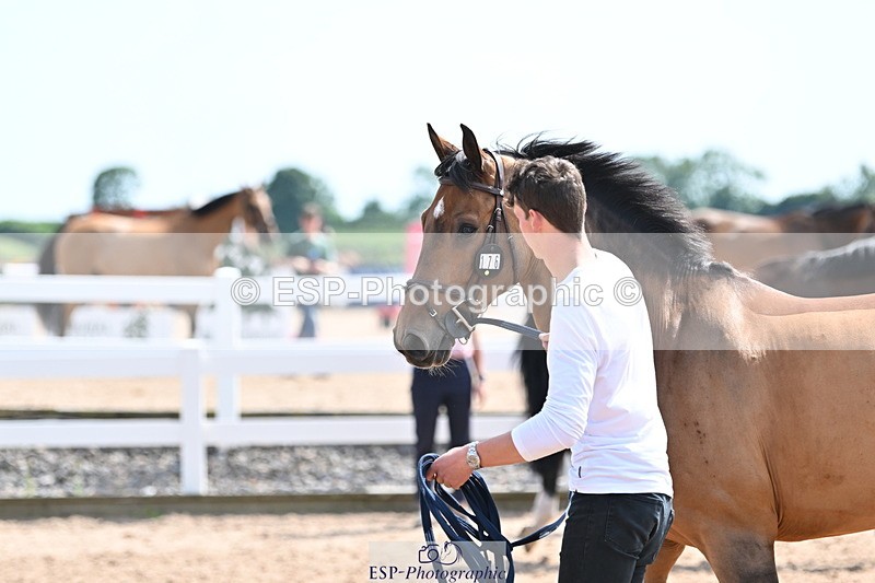 240717A-151623-02704 - Trot Up 3pm to 4pm