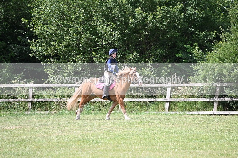 WJ6_6856 - 80cm XC Pairs