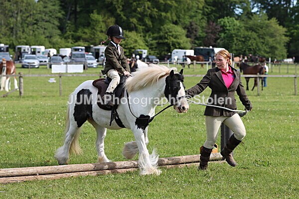 IMG_2192 - Working Hunter