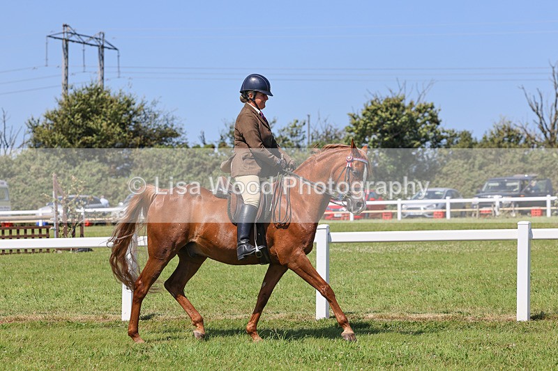 IMG_2209 - Class 37: Pure, Anglo & Part Bred Ridden Arab