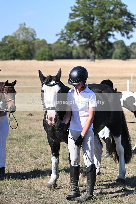 WJ7_1907 - Class 43 Best Six Legs (In hand)