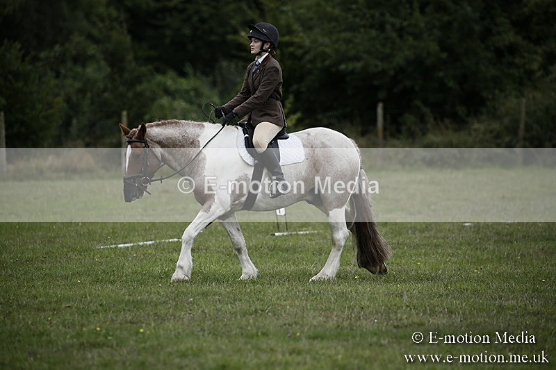 BVR080918 19 - BVRC Novice Dressage & CR 08/09/18