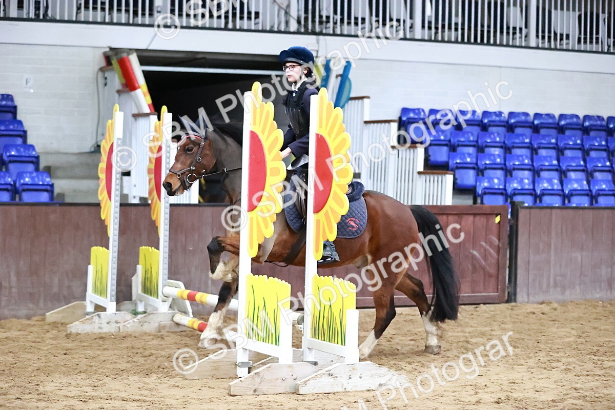 SBM_000420 - Class 2 - Show Jumping 50cm