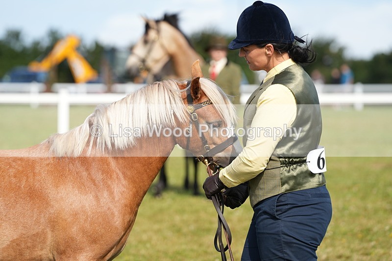 DSC05029 - Class 48: NPS M&M 2/3 year olds