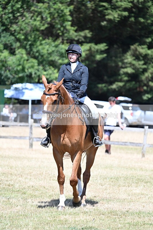 WJ7_2890 - Class 7 Riding Club Show Horse