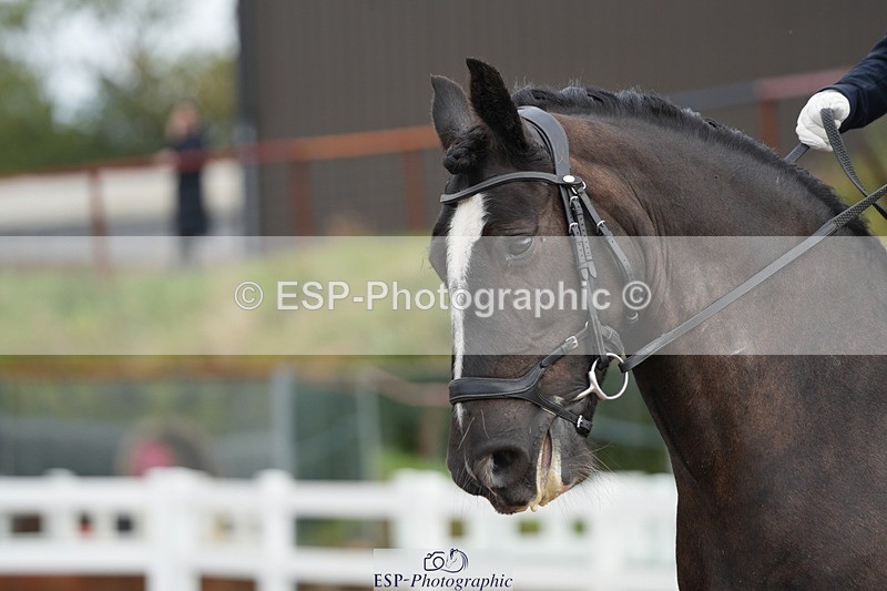 250907-112547-06073 - 092-Christy.ShuallShaq.ONeal