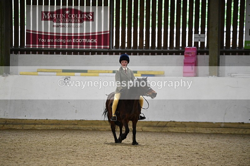 WJ5_8132 - Class 14 Novice Ridden/Rider