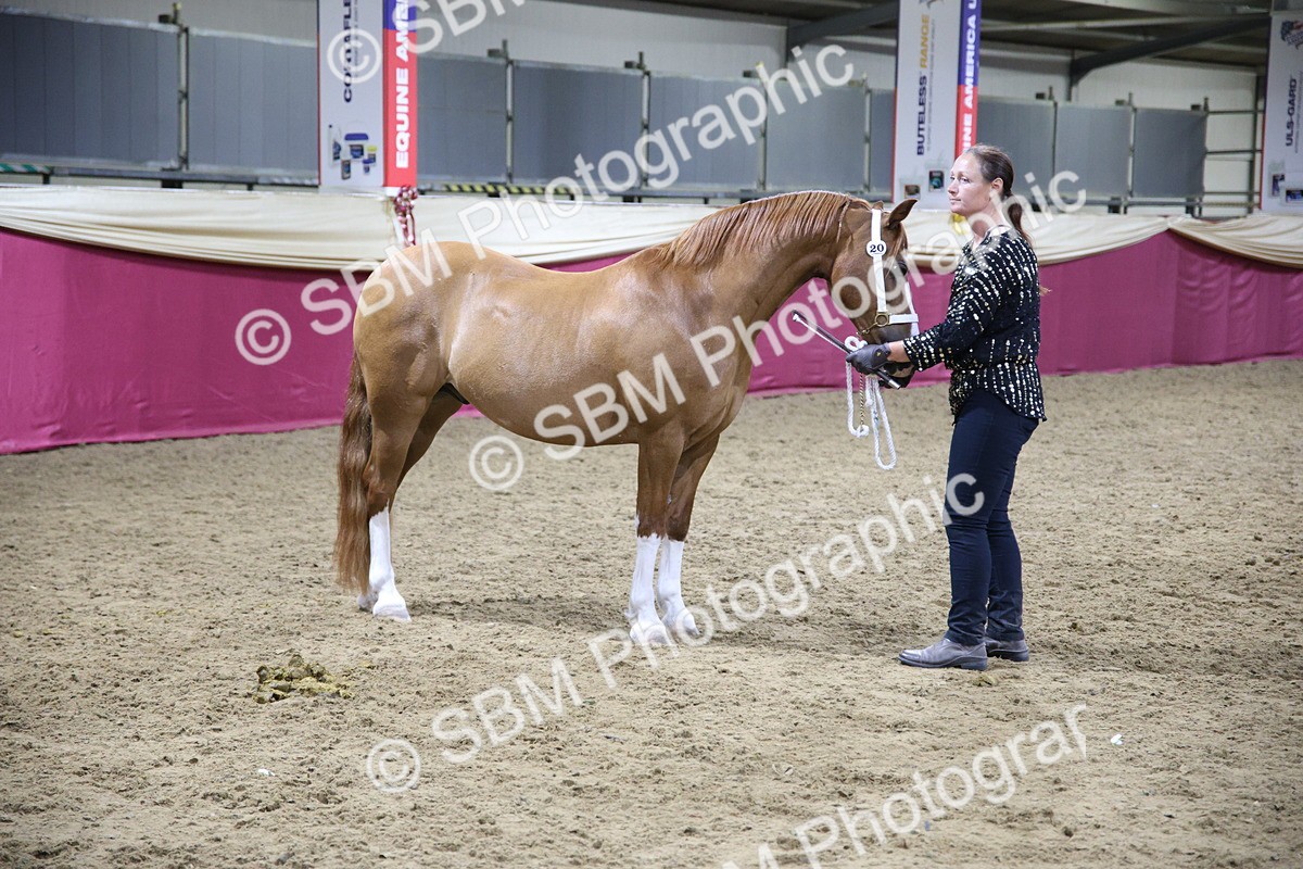 5K7A1548 - Class N M&M Champ