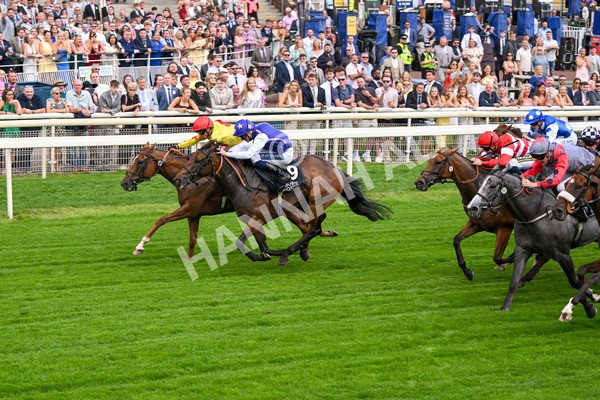 250725-Race 1-Pressures On - Quest For Fun-5357 - Race 1 5.30pm eventmasters.co.uk Handicap