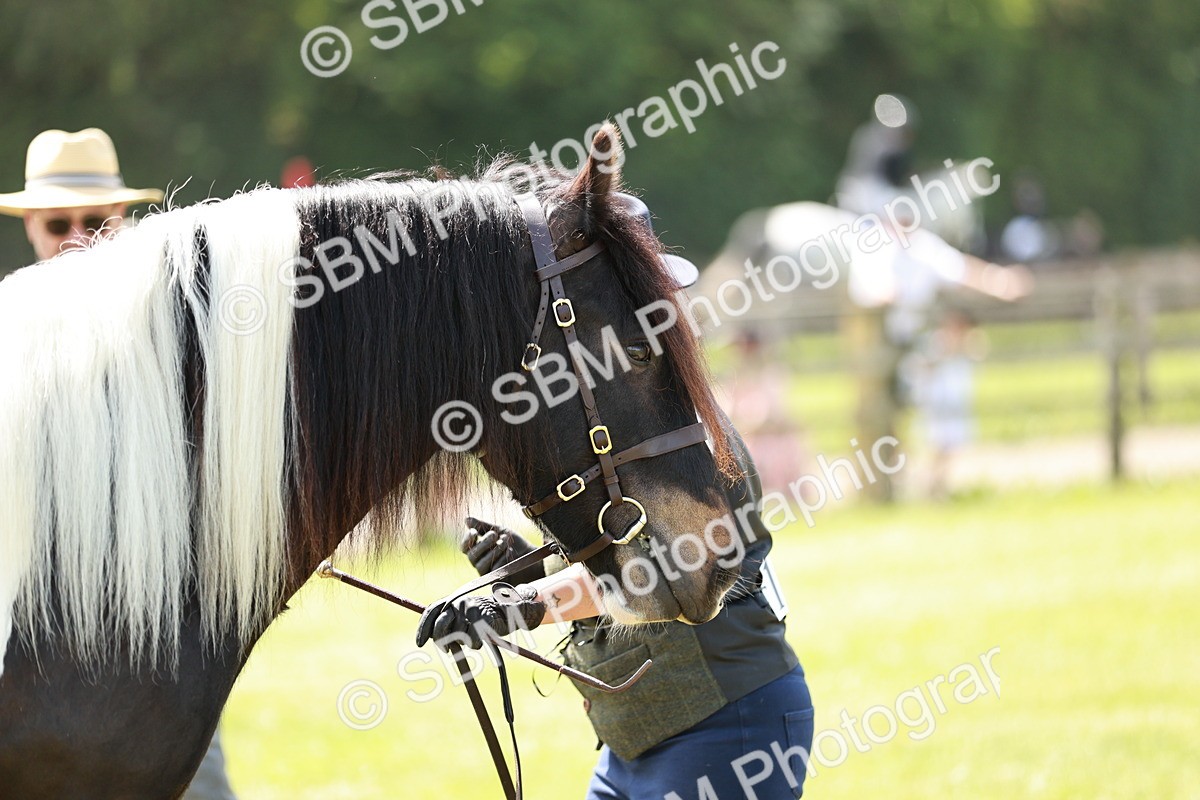 SBM_04169 - Class 39-40 - BSPA Coloured In Hand