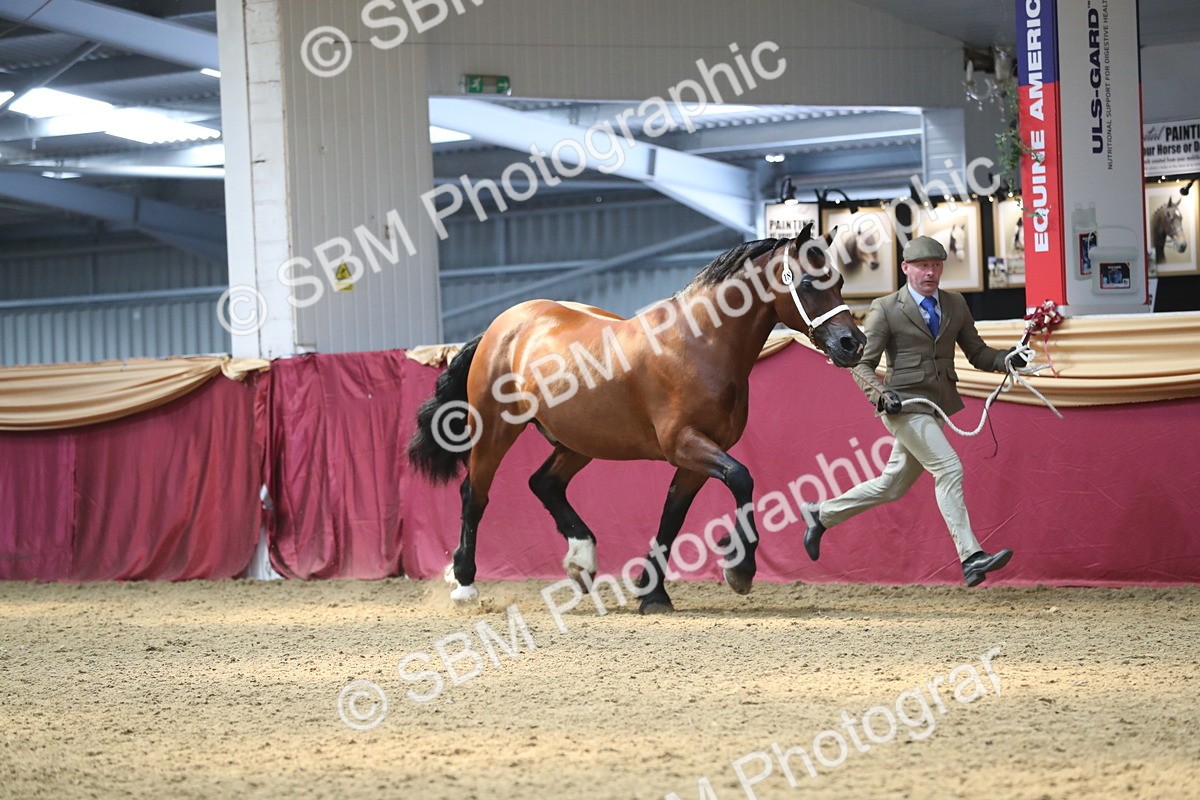 SBM_15198 - Class 501 M&M IH Supreme Final