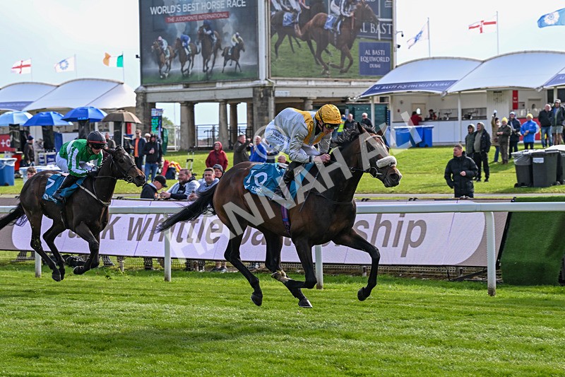 140526-Race 7-Arc Ole Ole-6029 - Race 7 5.15pm Frank Whittle Partnership Handicap