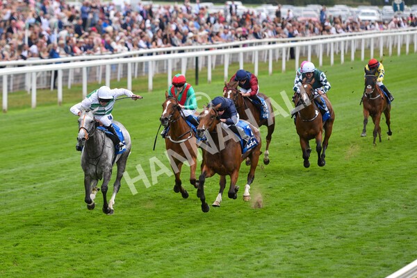 yr18082022r4-38 - Race 4 3.35pm Darley Yorkshire Oaks (British Champions Series Race)