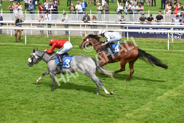 yr11062021r4-23 - Race 4 3.30pm British EBF supporting Racing with Pride Fillies' Handicap