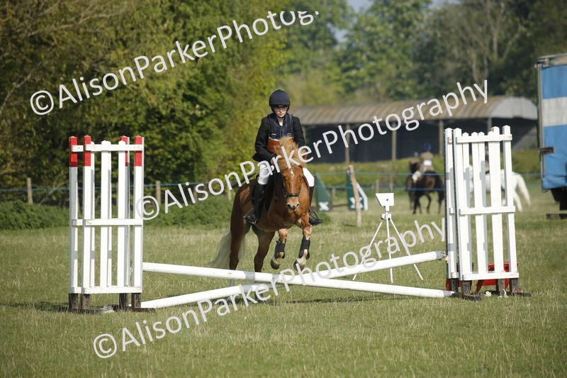20250427-0242 - Class 12 - Rookie Jumping 40cm