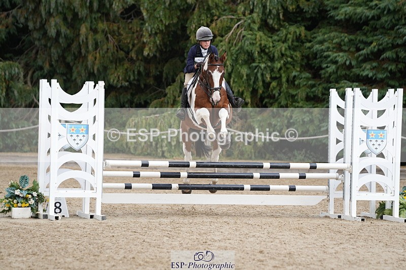 250824A-133115-37537 - 2125-Hen.Jeanes-Painted.proper