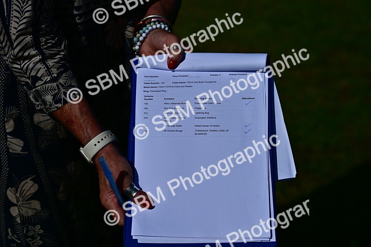 SBM_09995 - Class 63-65 - Traditional Gypsy Cobs In Hand & Ridden