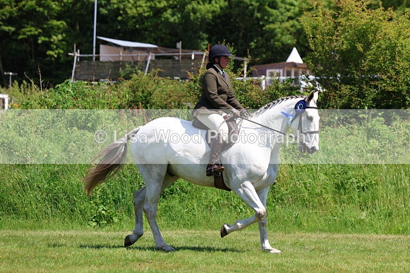 3E7A8036 - Working Hunter Championship