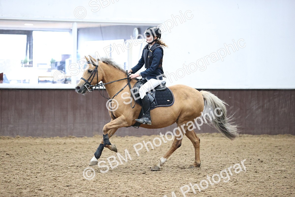 SBM_000156 - Class 2 - Pony British Novice - 80cm Open