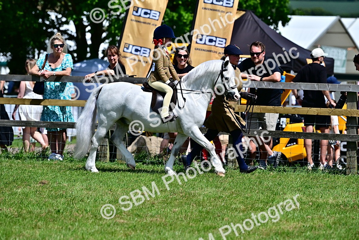 SBM_05766 - Class 59-60 - TSR M&M  Lear Rein and First Ridden Amateur of the year