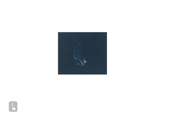 Charlotte Ternero Blue Feather - Christmas exhibition 2023
