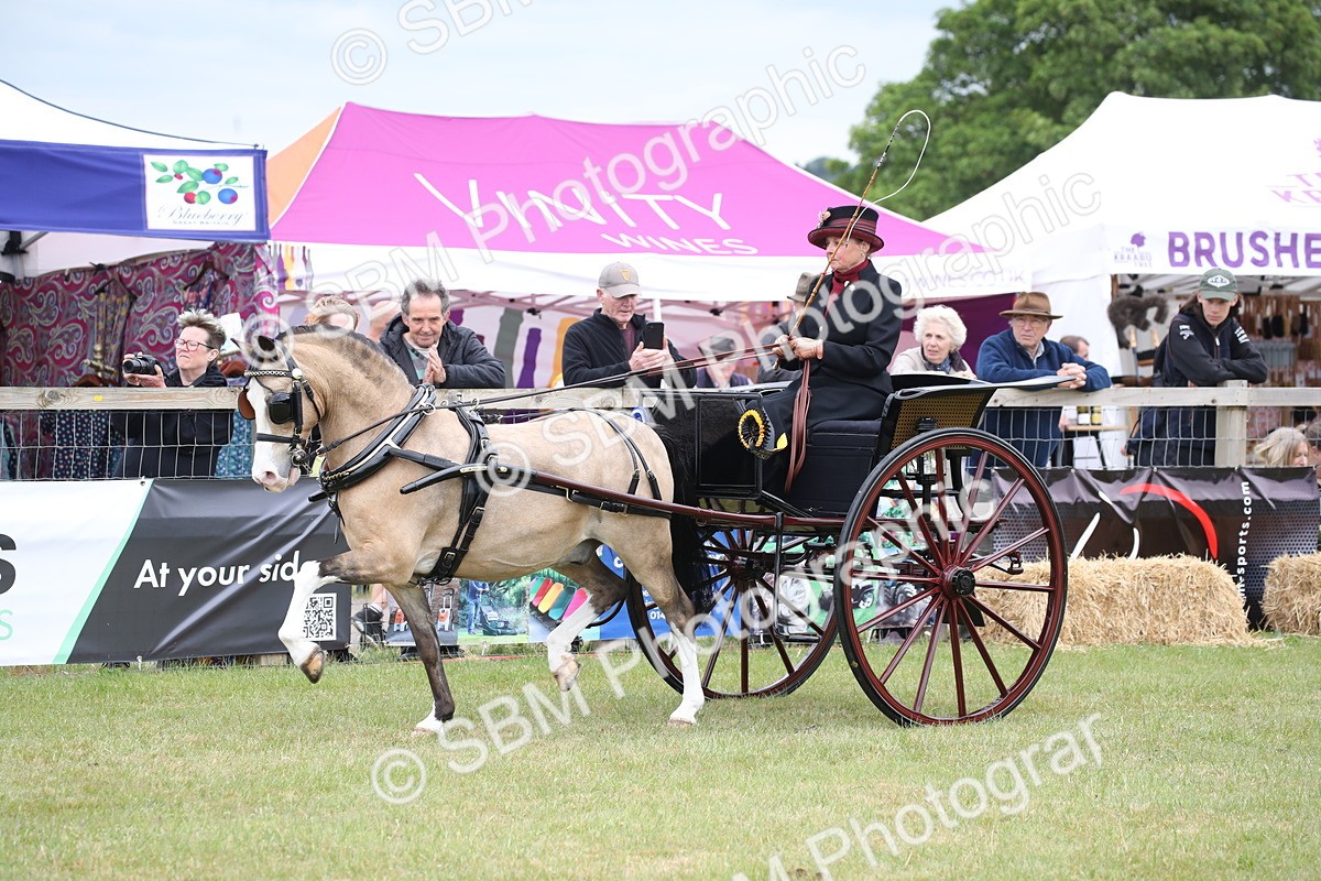 SBM_05938 - Class 12-15 - HOYS Private Driving