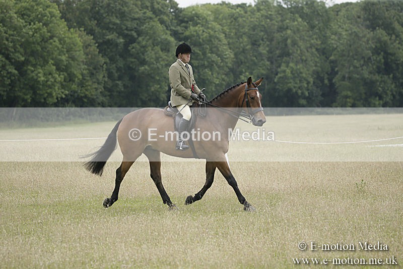 B230619-0936 - Bourne Valley Riding Club Summer Show 23/06/19
