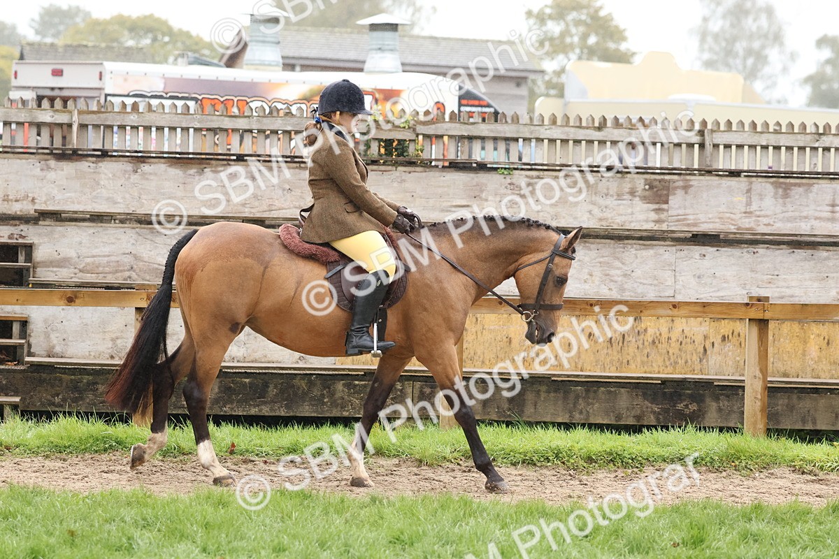 SBM_72981 - S63 Show Pony & Show Hunter Pony Ridden