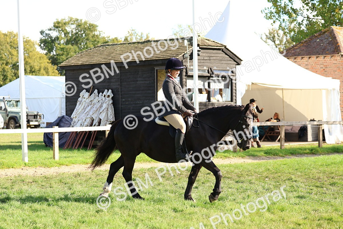 SBM_52358 - S13 - Pony Club Pony