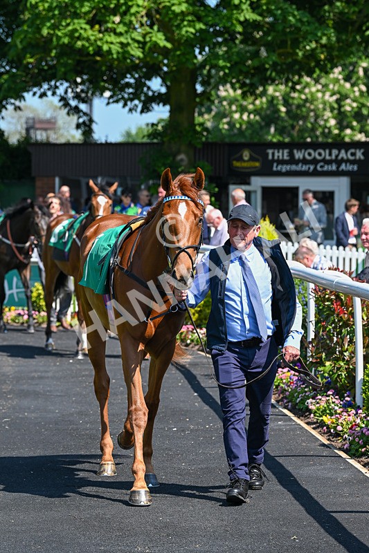 180524-Race 2-Bountiful-9160 - Race 2