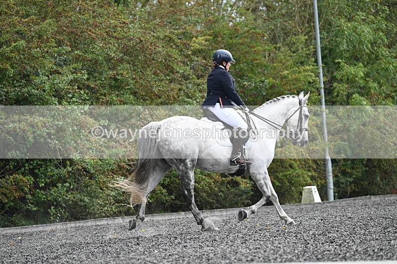 WJ7_6893 - Time 14:49 to 15:14