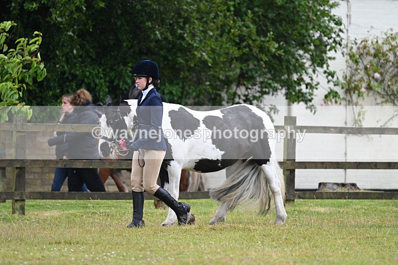 WJ7_5861 - Class 4 Prettiest Mare in Hand