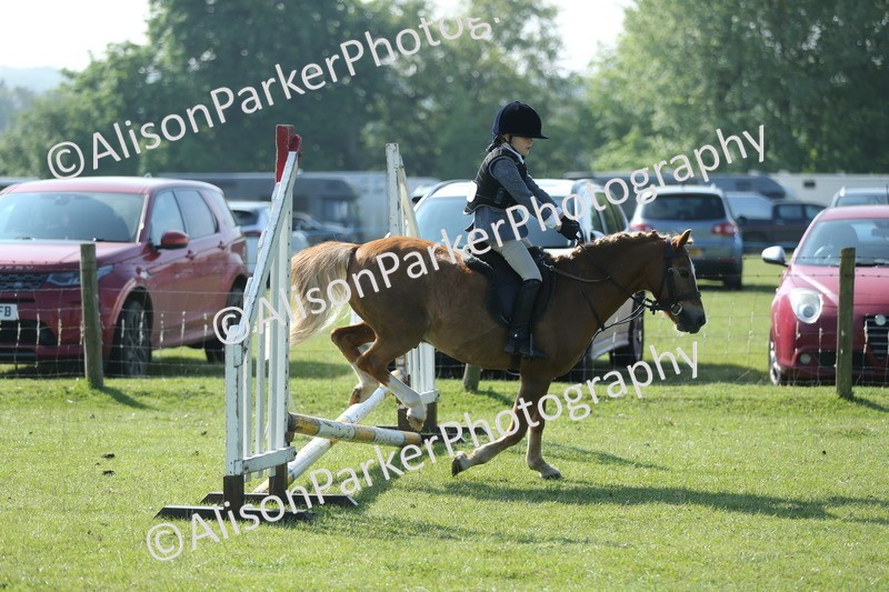 20250427-0945 - Class 1 - Mini Jumping Lead Rein or Assisted