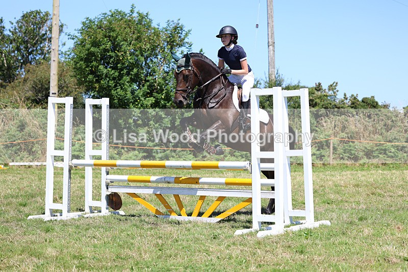 3E7A5522 - Class 9: Senior British Novice/90cm open