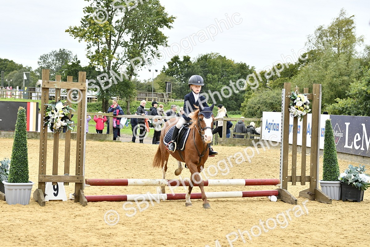 SBM_65462 - J2a mini Tour Junior Pony 30cm Championship