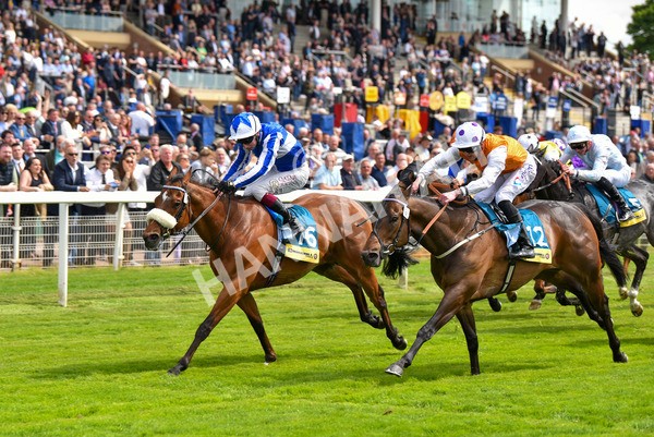 170523-Race 2-Bielsa-8620 - Race 2 2.25pm Churchill Tyres Handicap