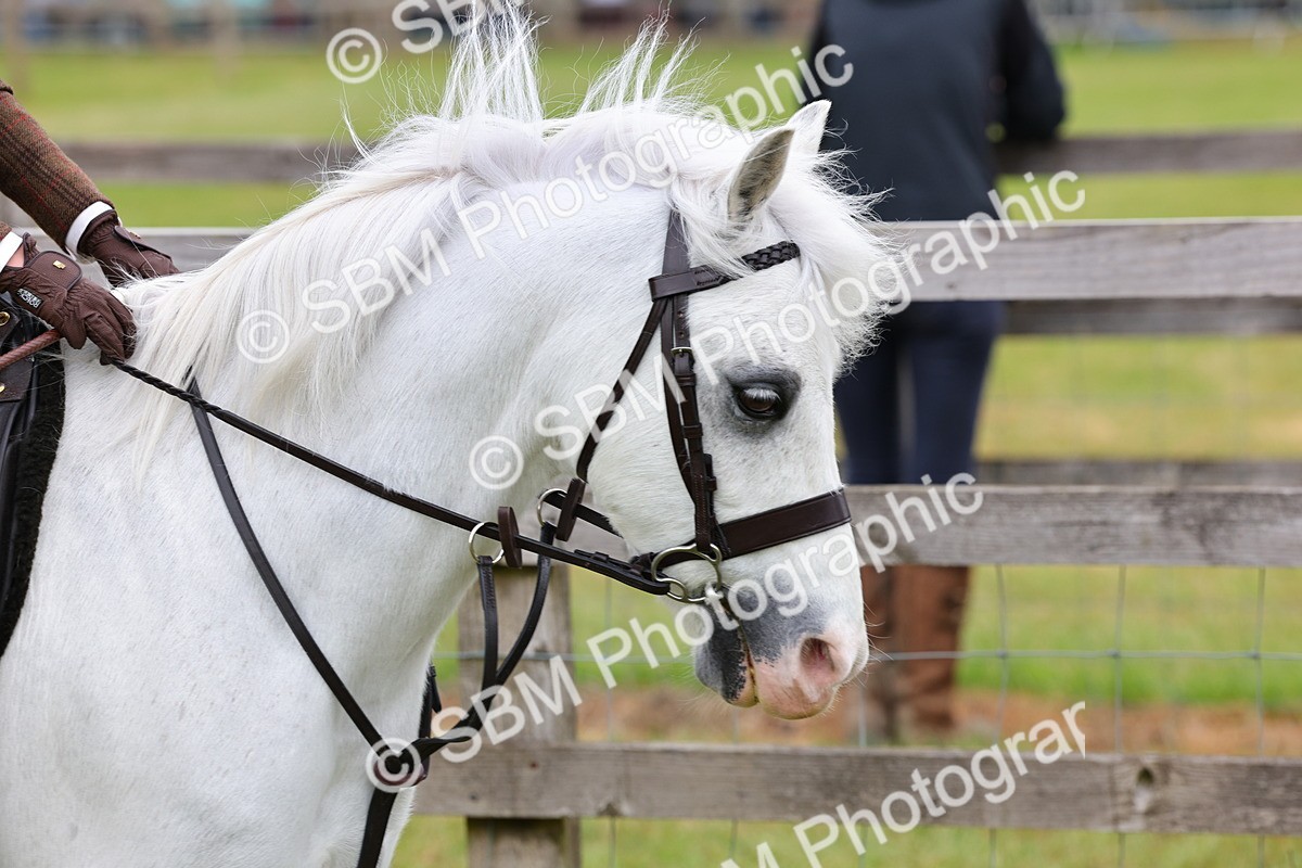 SBM_08456 - Class 42-43 - LIHS BSPS Heritage Working Sports Pony