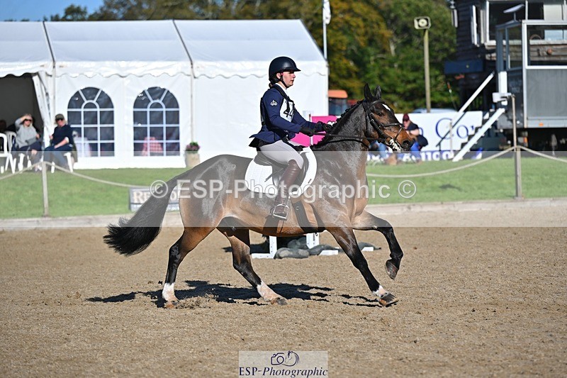 241027-115030-17005 - 441-Molly.Swain-SOCKS